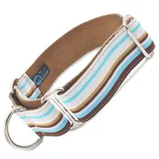 1.5" Wide Beachy Blue Martingale Collar
