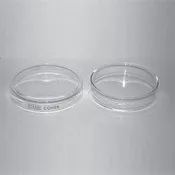 Petrie Dish Set of 2, Pyrex Glass