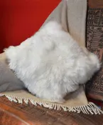 Alpaca Pillowcase
