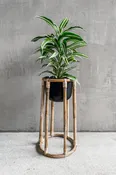 Boca Plant Stand