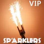 BOTTLE SPARKLERS – Champagne Bottle Sparklers