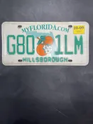 09 FL Green Letters License Plate