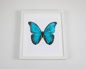 Big Blue Butterfly Watercolor Art with White Frame