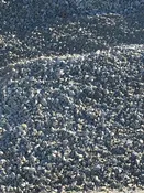 1 1/2 Crushed Stone