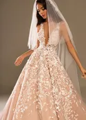Amira