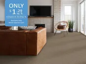 Cabana Bay Mesa No Frills Carpet Deal — $1.29/Sq. Ft. — No Frills Flooring