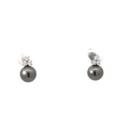 14kt White Gold With Black Pearl Diamond Earrings