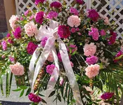 Fuchsia Pink Peace — Maria's Uncorked Wine Tasting Room & Florist - Marshall Flower Delivery - Wine Bar