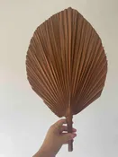 14" Natural Palm Frond