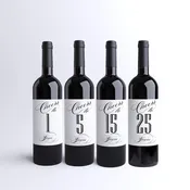 Anniversary Wine Label, Cheers to 10 Years