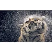 4K/UHD MONITORS