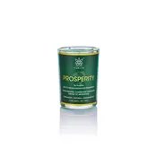 Reiki Charged Prosperity Candle