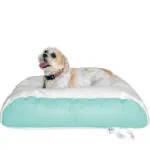 Ocean-Tamer: Bean Bag Bed for Dog Large | Best Dog Chair