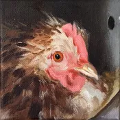New Oil Portraits of Hens by Peter Dickison