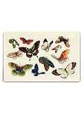 12 Fluttering Butterflies Decoupage Glass Tray