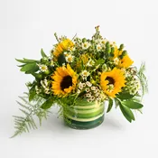 Happy sunflowers