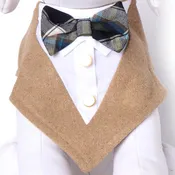 Brosnan Bow Tie Formal Bandana