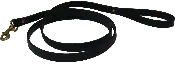 BioThane Leashes