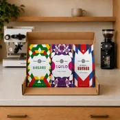 The Foundation Bundle - 3 Pack