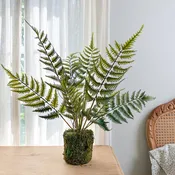 Abundant Lace Fern Drop In