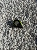 Aspen River Rock