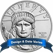 $100 American Platinum Eagle 1 oz Brilliant Uncirculated Random Date