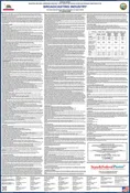 2026 - IWC 11 - Broadcasting Industry