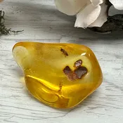 Amber (#1347)