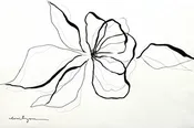 Black Line Drawing Flower II