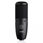 AKG P120 2/3 Inch Diaphragm General Purpose Recording Condenser Microphone — Echotone Music