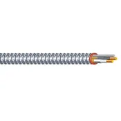 14/2 BX Armored Cable- 25'- 15 Amp
