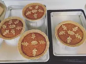 Fresh-Baked Pumpkin Pies for Dogs — Spike's Treats