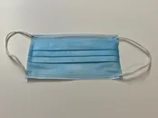 Disposable Mask (50 pc)