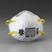 Disposable N95 Respirator