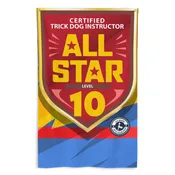 CTDI [All Star 10x]