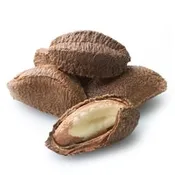 #1010 Aria Nature's Premium Raw Unsalted Brazil Nuts (In Shell) - Parrot Treat & Foraging Enrichment - 1/2 lb.