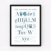 Anatomy Of Type Art Print