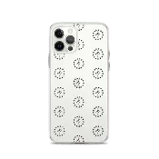 13 Stars iPhone Case