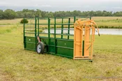 Cattle Working Chute