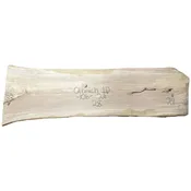 American Elm Slab Olbrich 1D — The Wood Cycle of Wisconsin