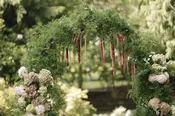 S and N 7.25.2026 — Bloom Brats Botanical