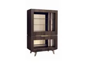 Accademia Curio Cabinet