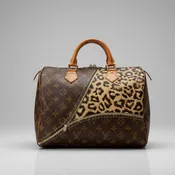 Louis Vuitton Hand-Painted - Detailed Metallic Unzipped Cheetah