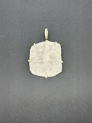 Alligator Scutellum Prong Mount