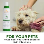 Aroma Paws Rosemary Tea Tree Dog Shampoo & Conditioner - 13.5 oz