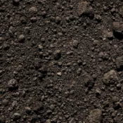 Bulk Top Soil
