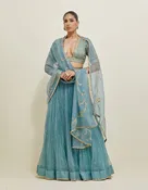 Aqua Blue Hand Embroidered Organza Lehenga Set