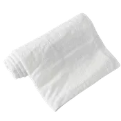 9x12 ft. Plastic Drop Cloth