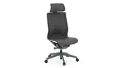 Atlas II Armless Task Chair with Headrest