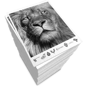 Flyers (Black and White)